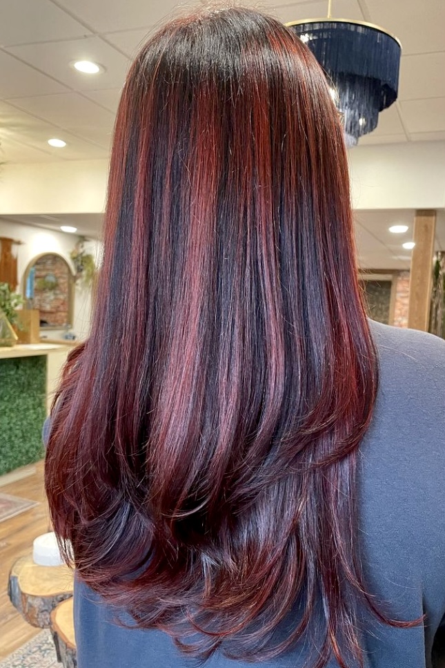 30 Gorgeous Hair Color Ideas with Red Highlights for a Dazzling Look ...